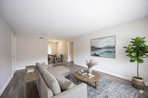 A living room with a grey couch and a blue rug.
