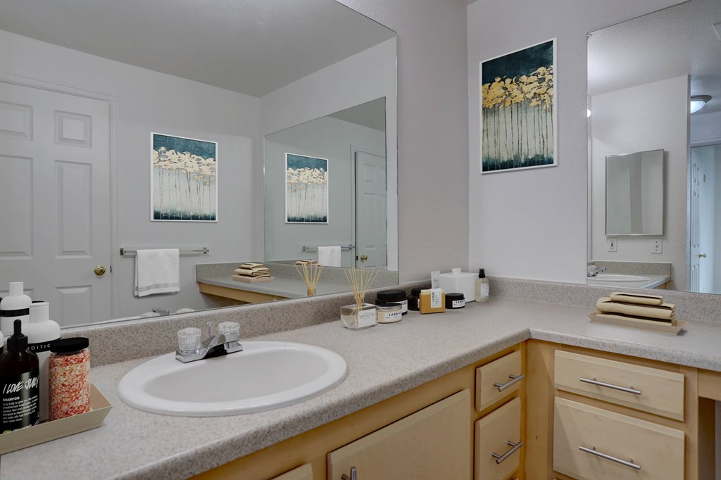 A bathroom with a white sink and a mirror.