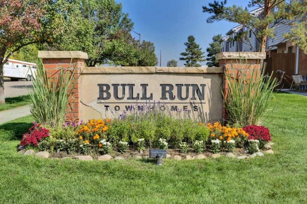 Bull Run