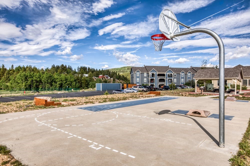 Basketball Court