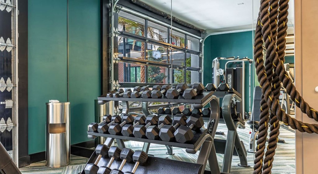 Fitness Cetner free weights