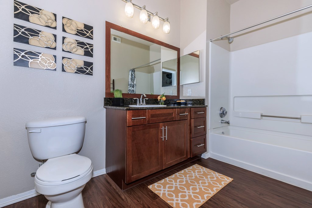 A bathroom with a toilet, vanity, and a mirror.