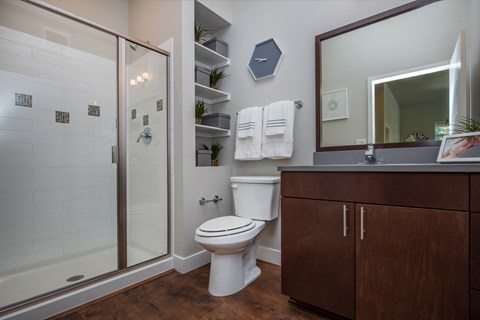 A bathroom with a toilet, a sink, and a walk-in shower.