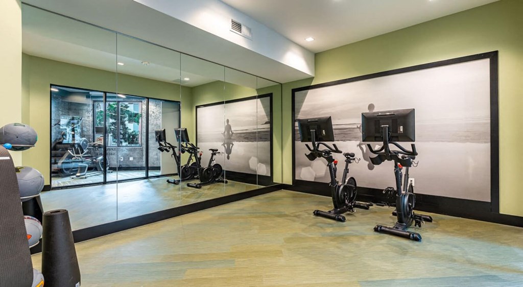 exercise equipment and large windows