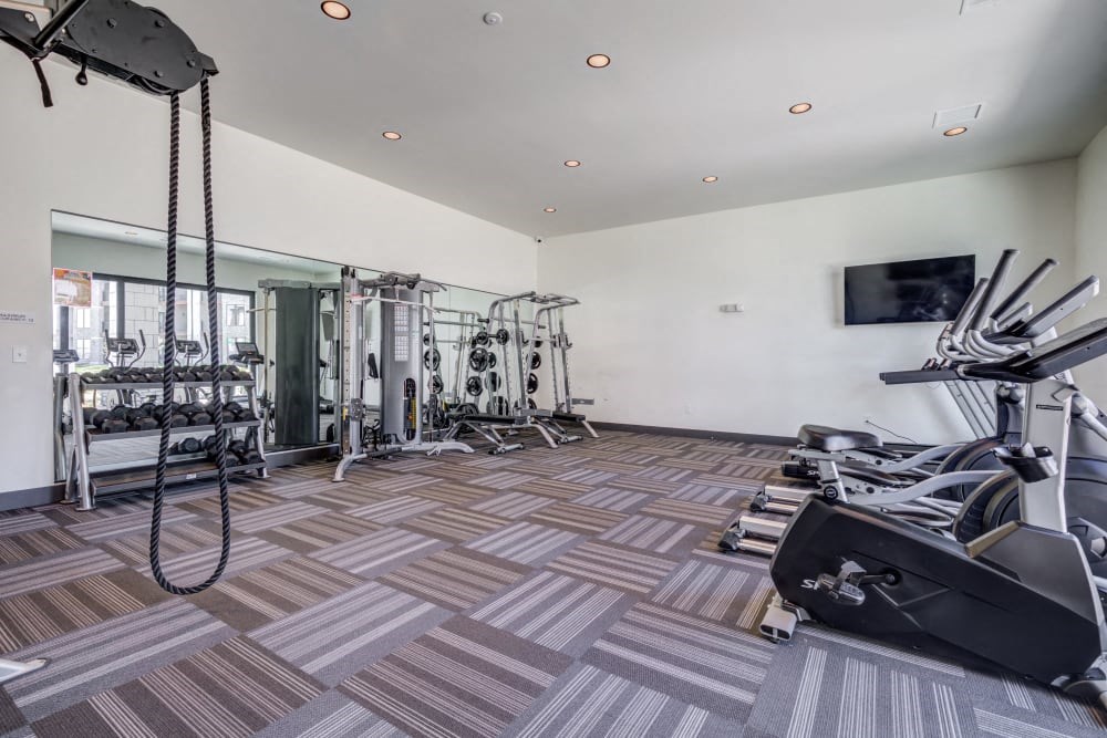 A gym with a variety of equipment including treadmills, weights, and a television.