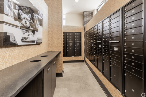 A room with a wall of mailboxes and a poster of a dog on a car.