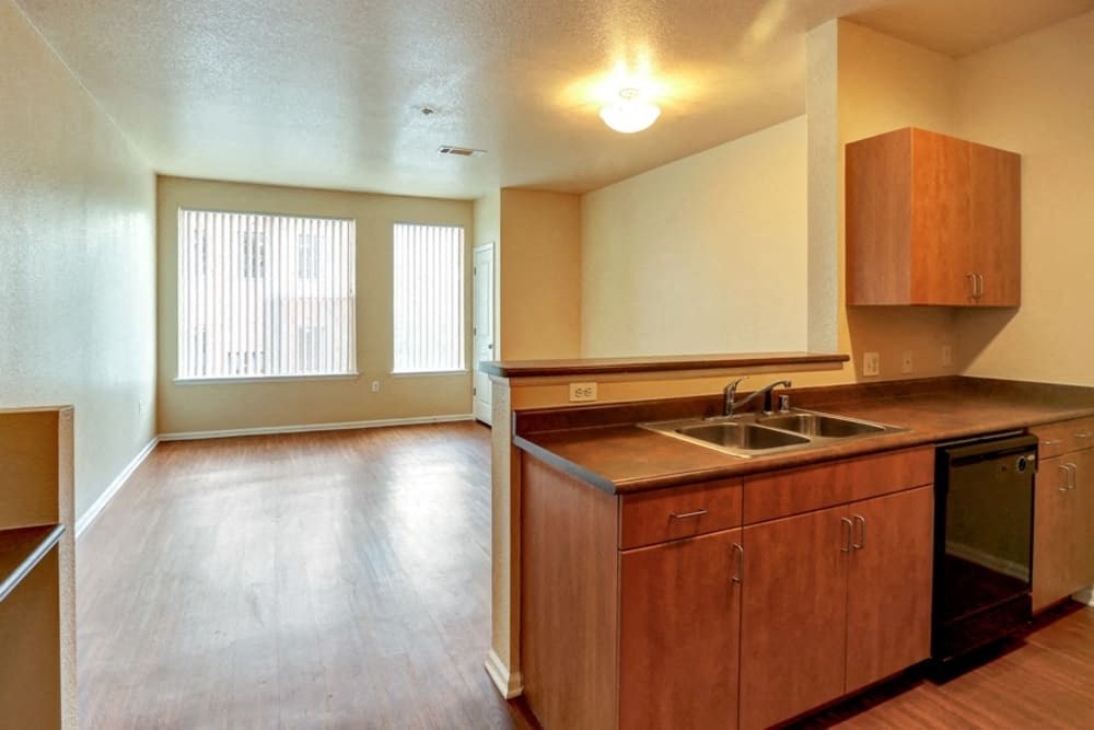 a kitchen with a sink and an empty living room