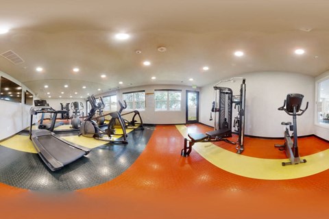 a gym with cardio equipment and a yellow circle on the floor