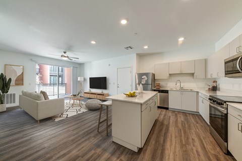 Kitchen and living room