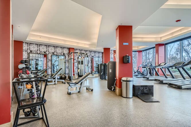 A gym with a variety of equipment including treadmills, weights, and a rowing machine.
