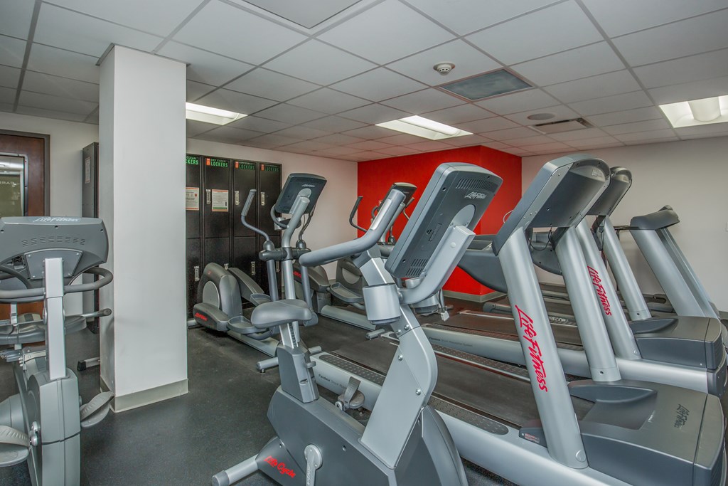 A gym with treadmills and elliptical machines.