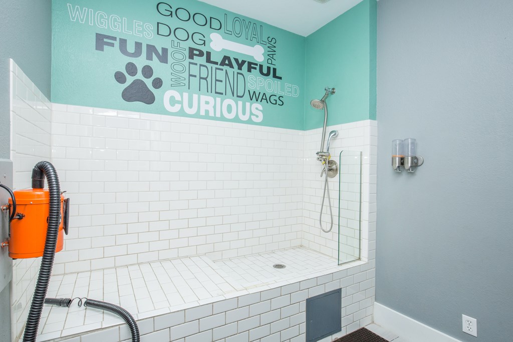 A dog wash with a blow dryer