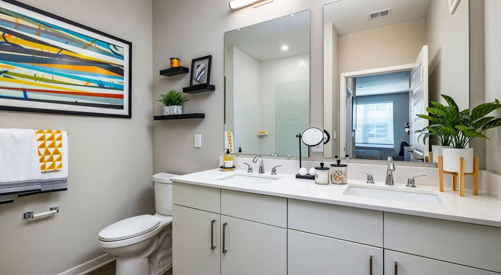a bathroom with a mirror and a toilet and a sink