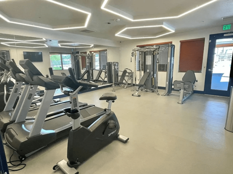 A gym with treadmills, weights, and exercise equipment.