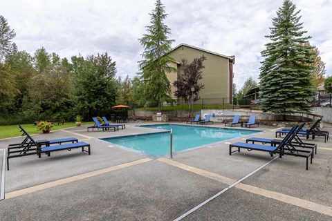 Swimming pool with lounge chairs