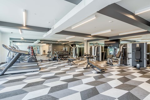 a gym with cardio machines and weights on a checkered floor