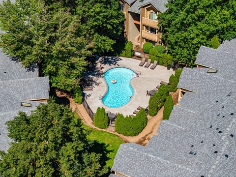 A swimming pool surrounded by trees