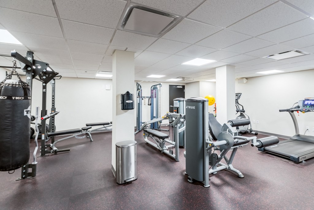 the gym at the runnymede on 132nd