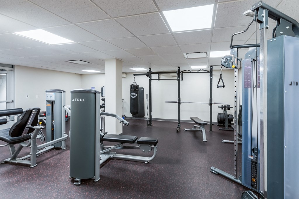 a gym with cardio equipment and weights on the floor