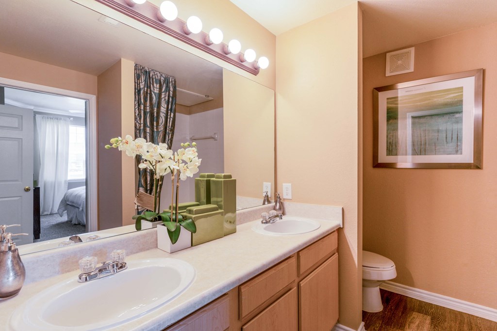 a bathroom with two sinks and a large mirror
