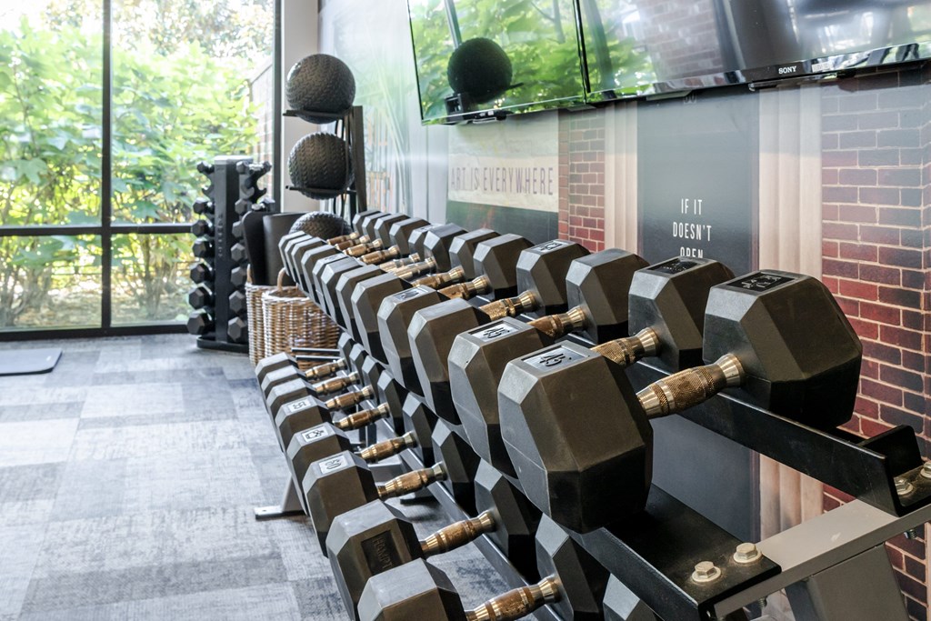 A row of dumbbells are lined up on a rack in a gym