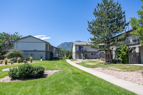 a city street with houses and trees and a sidewalk