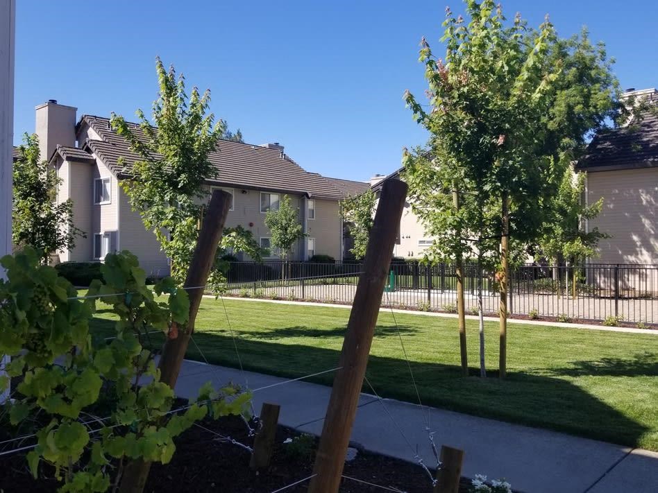 a yard with trees in front of a house