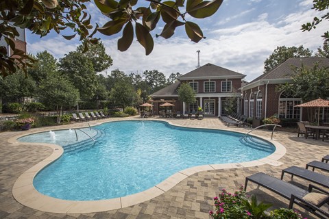 A large outdoor swimming pool surrounded by lounge chairs and trees.