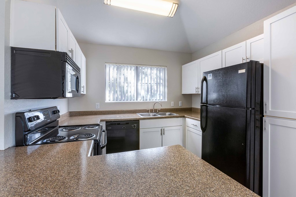 Kitchen with Black Appliances
