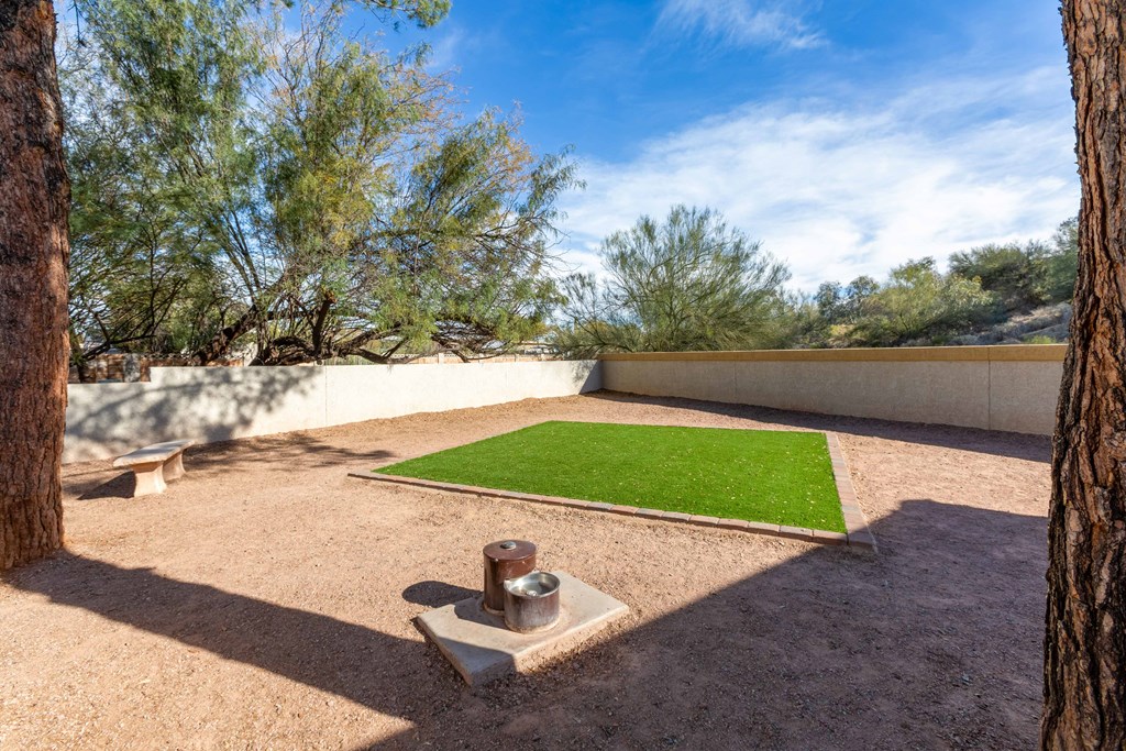 Pet Park