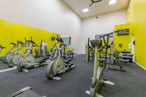 A gym with a row of stationary bikes and a row of weight machines.