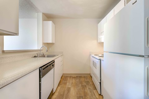 A white kitchen with a white fridge, sink, and dishwasher.
