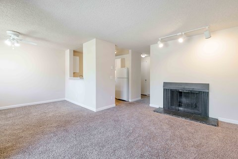 A living room with a fireplace and a carpet.