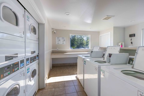 A row of washing machines in a public laundromat.