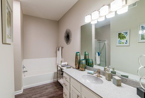a bathroom with a large mirror and a sink