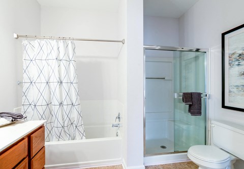 a bathroom with a shower and a toilet and a sink