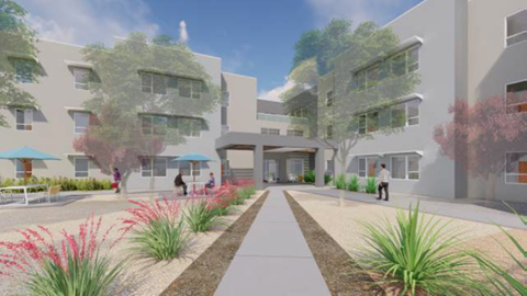 A modern residential area with a walkway and plants on either side.