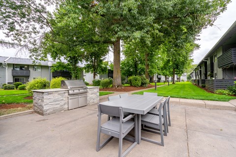 BBQ grill and picnic table