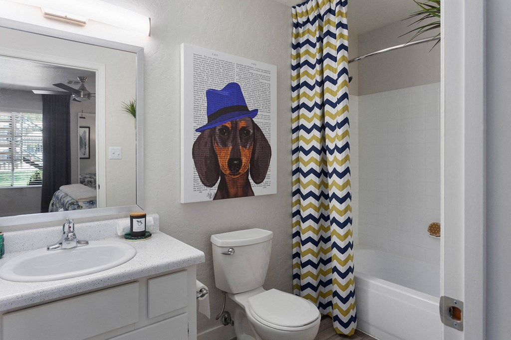 a bathroom with a shower curtain with a dog wearing a blue hat