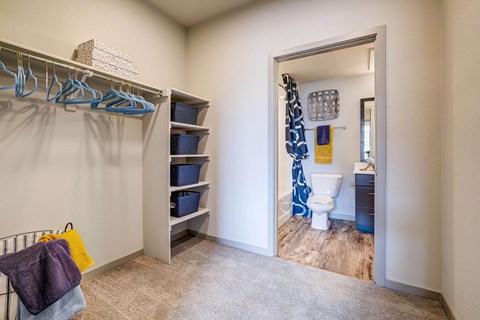 Large Walk-in Closet.