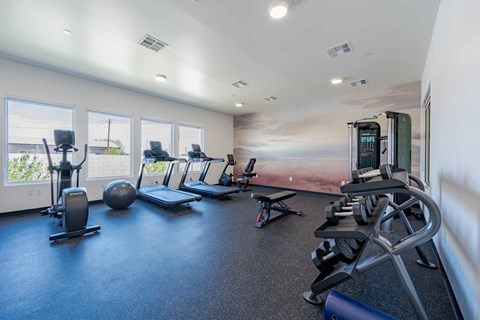 A gym with a variety of equipment including treadmills, weights, and exercise balls.