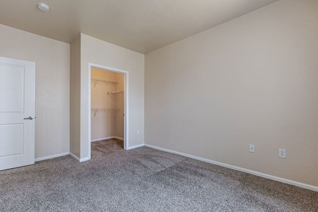 a room with carpet and a closet