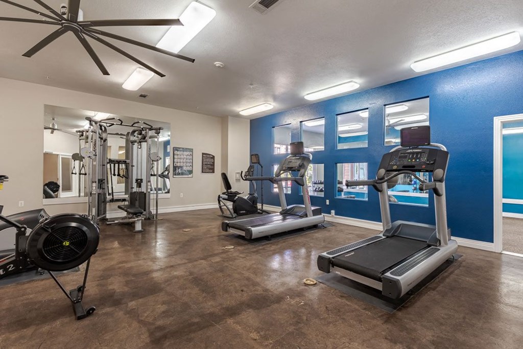 a gym with treadmills and other exercise equipment