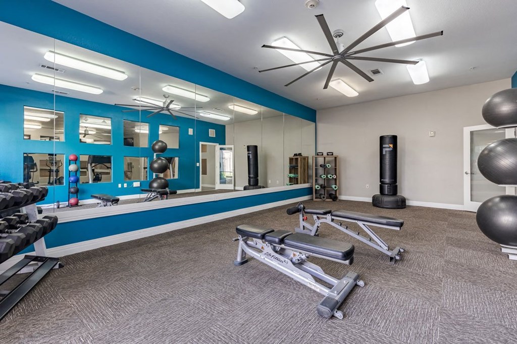 a gym with weights and mirrors and a blue wall