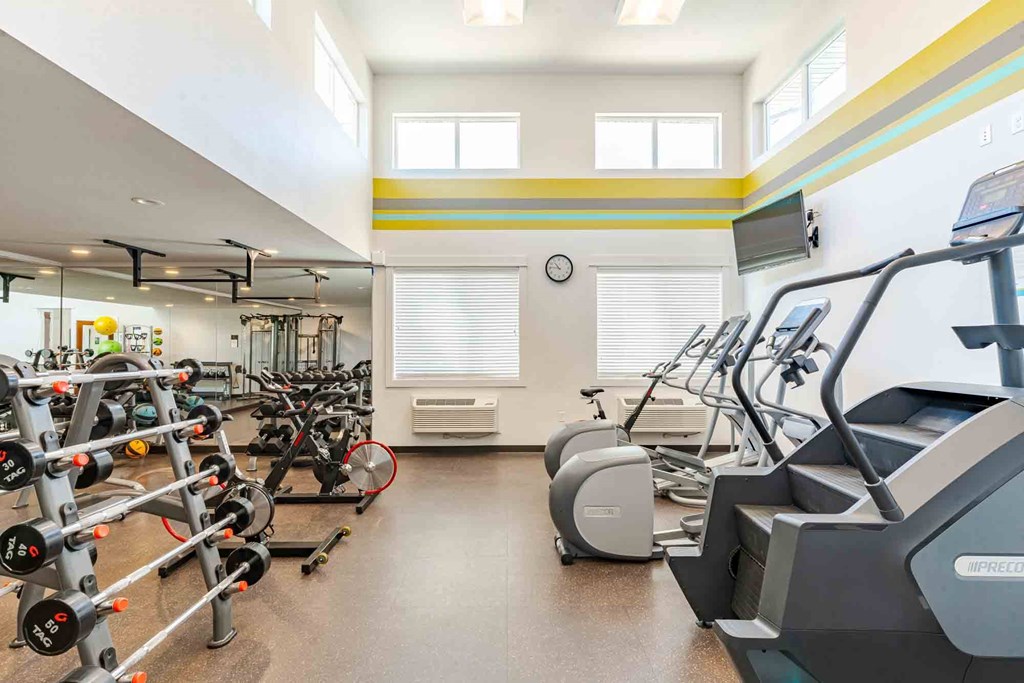 A gym with a variety of free weights