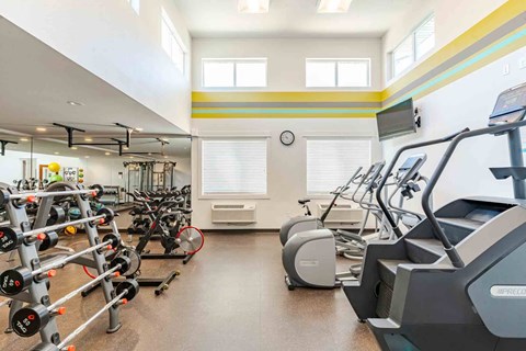 A gym with a variety of free weights