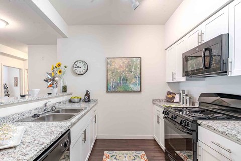 A kitchen with a white counter top and a painting hanging on the wall.