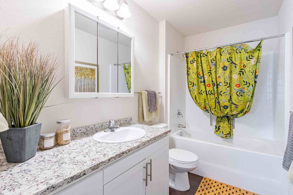 Bathroom with vanity mirror
