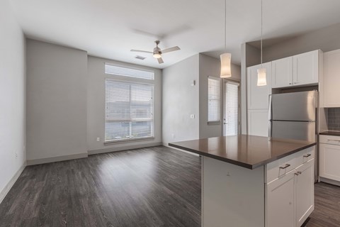 the preserve at ballantyne commons apartment living room and kitchen