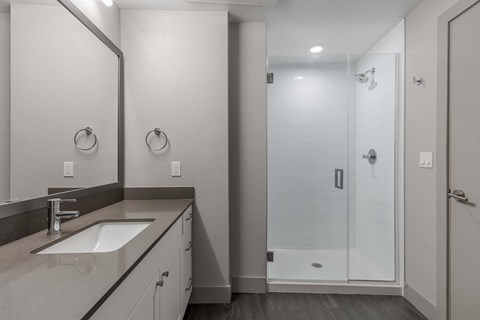 a bathroom with a sink and a shower